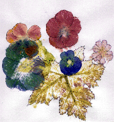 $68 with flower power