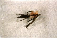 K34 - Ken's Black Winged Wasp - $5