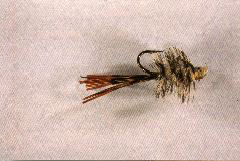 K35 - Red Tailed Heft - $5