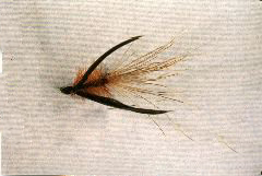 K46 - Ken's BlackWinged Fly - 2 for $5